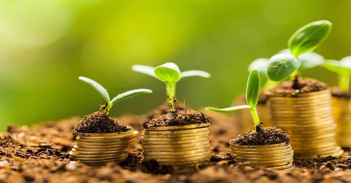 Crédito rural para a agricultura empresarial soma R$ 28,2 bilhões no primeiro mês da safra 2026/2027